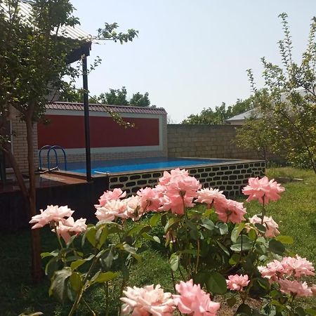 Villa Vilish Gabala Ngoại thất bức ảnh