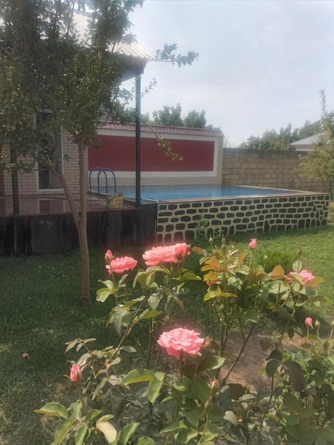 Villa Vilish Gabala Ngoại thất bức ảnh