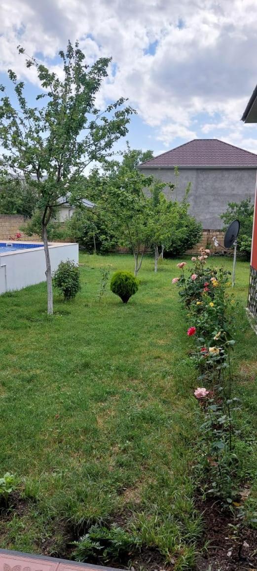 Villa Vilish Gabala Ngoại thất bức ảnh