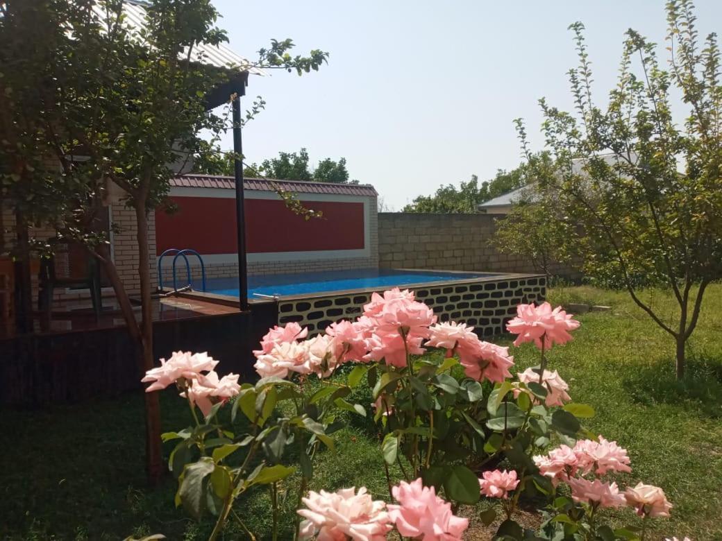 Villa Vilish Gabala Ngoại thất bức ảnh